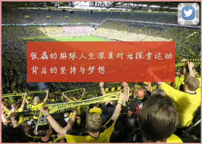 张磊的排球人生深度对话探索运动背后的坚持与梦想