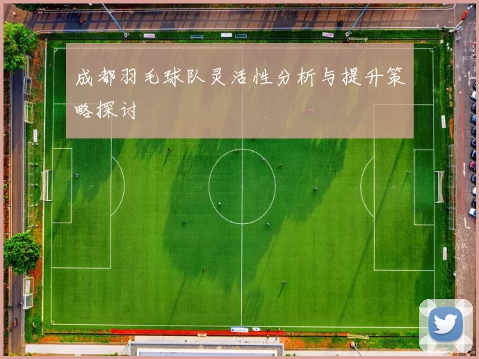成都羽毛球队灵活性分析与提升策略探讨