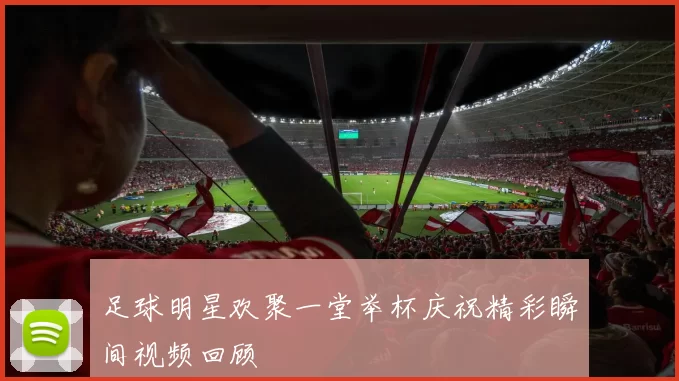 足球明星欢聚一堂举杯庆祝精彩瞬间视频回顾