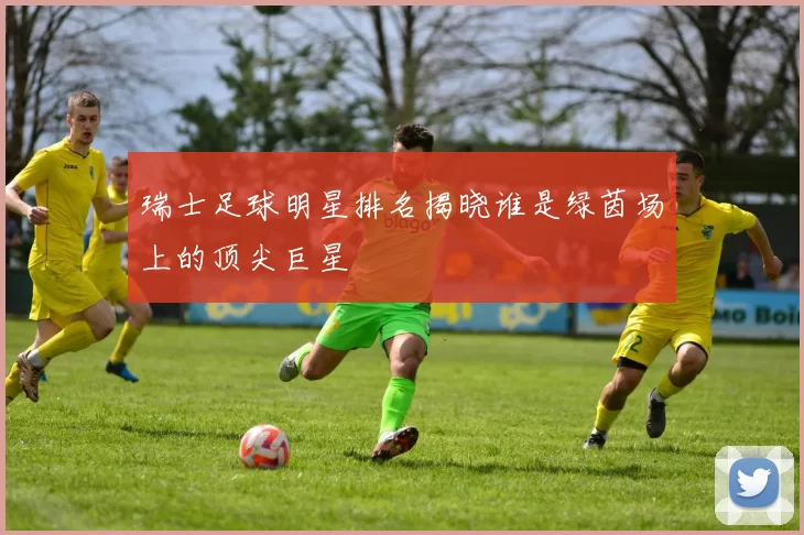瑞士足球明星排名揭晓谁是绿茵场上的顶尖巨星