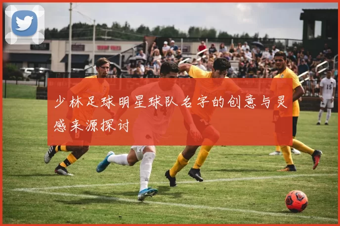 少林足球明星球队名字的创意与灵感来源探讨