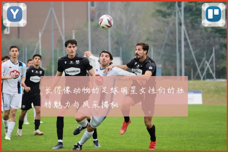 长得像动物的足球明星女性们的独特魅力与风采揭秘