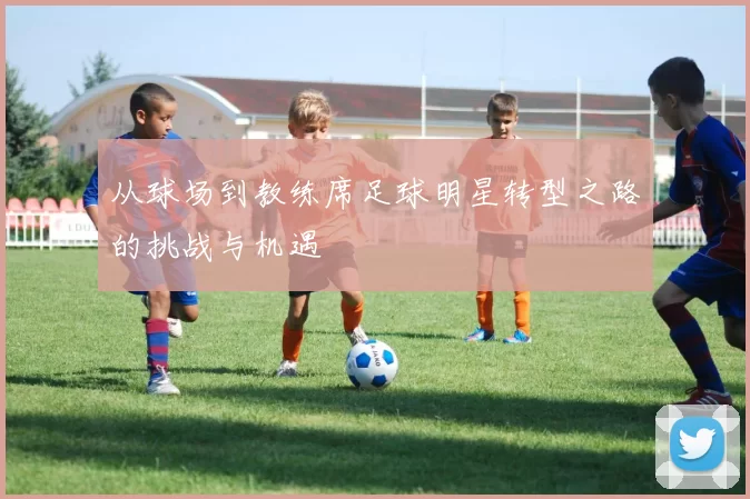 从球场到教练席足球明星转型之路的挑战与机遇