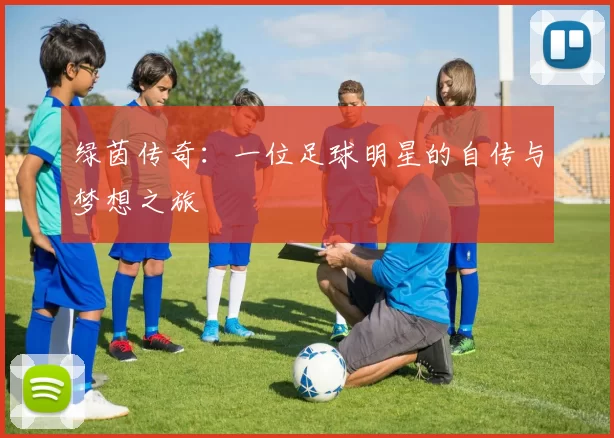 绿茵传奇：一位足球明星的自传与梦想之旅