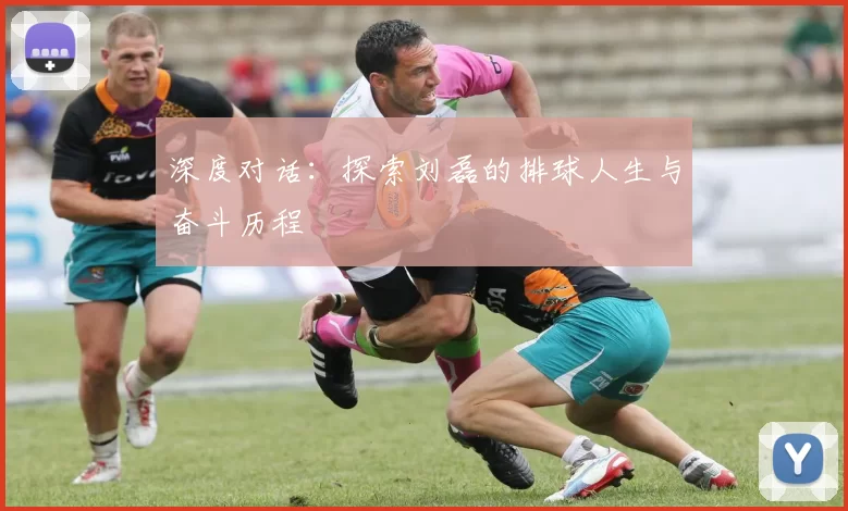 深度对话：探索刘磊的排球人生与奋斗历程