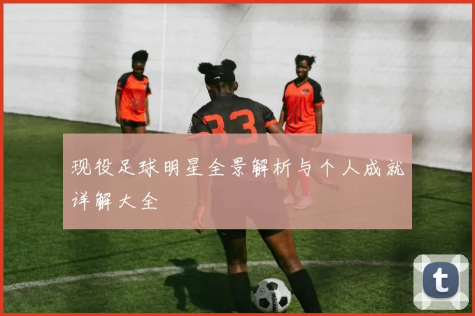 现役足球明星全景解析与个人成就详解大全