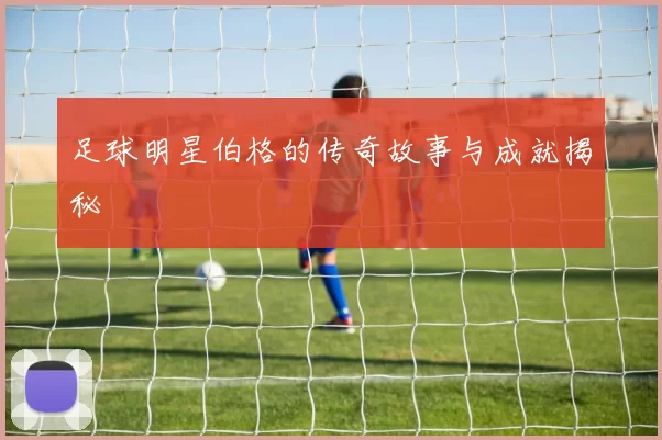 足球明星伯格的传奇故事与成就揭秘