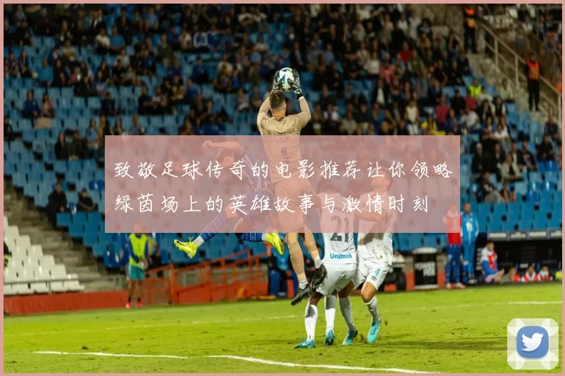 致敬足球传奇的电影推荐让你领略绿茵场上的英雄故事与激情时刻