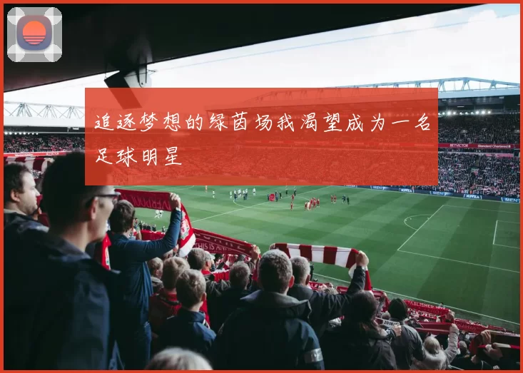 追逐梦想的绿茵场我渴望成为一名足球明星