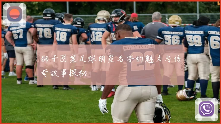 狮子图案足球明星名字的魅力与传奇故事探秘