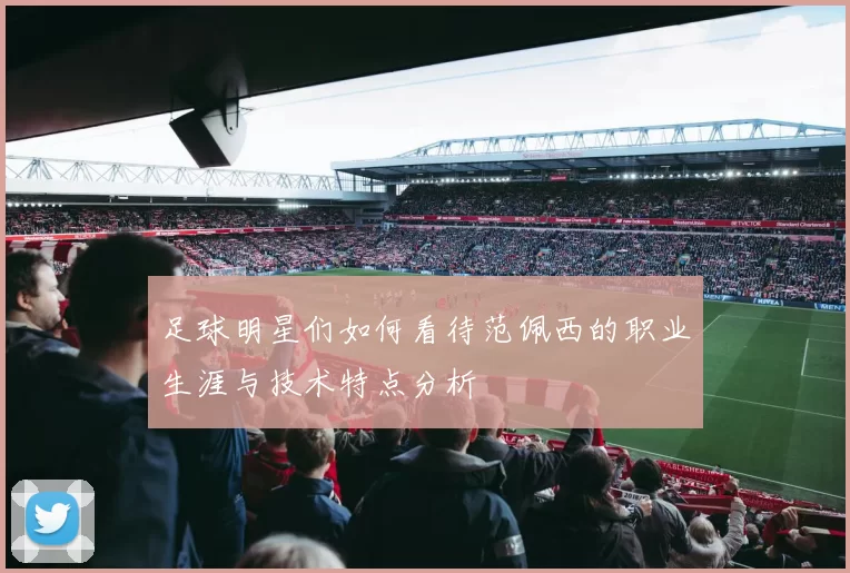 足球明星们如何看待范佩西的职业生涯与技术特点分析