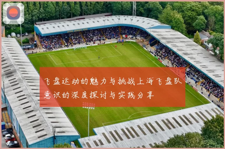 飞盘运动的魅力与挑战上海飞盘队意识的深度探讨与实践分享